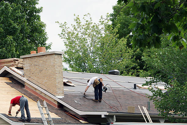 Best Roof Waterproofing Services  in Robbins, IL