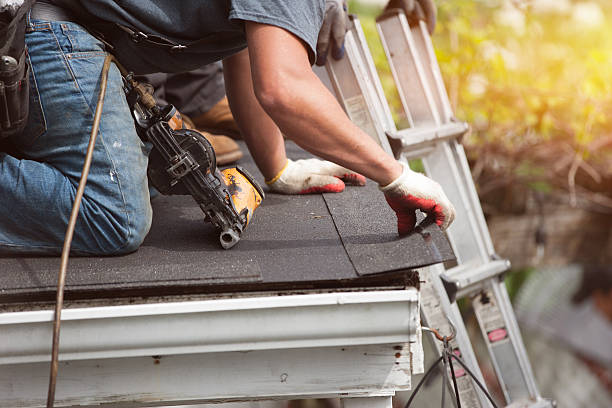 Best Flat Roof Repair Services  in Robbins, IL