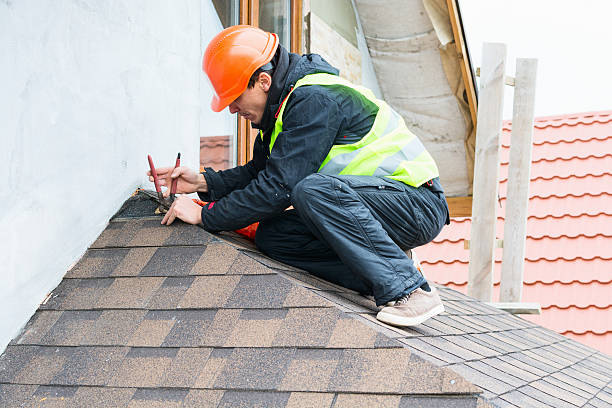 Best Metal Roofing Contractor  in Robbins, IL
