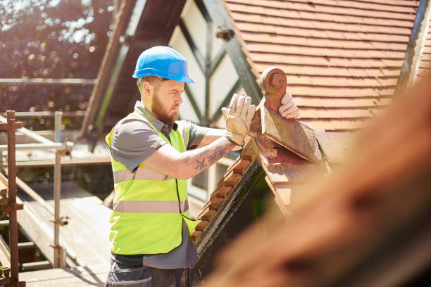 Best Roof Gutter Cleaning  in Robbins, IL